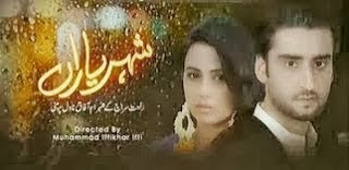 drama shehr e yaran episode 13 full